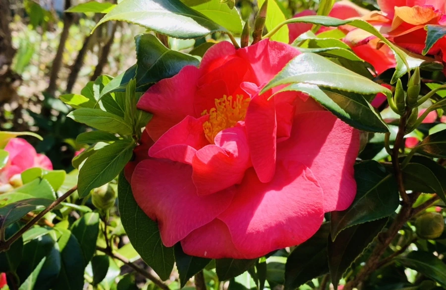 IMG_8192.jpg?type=w966