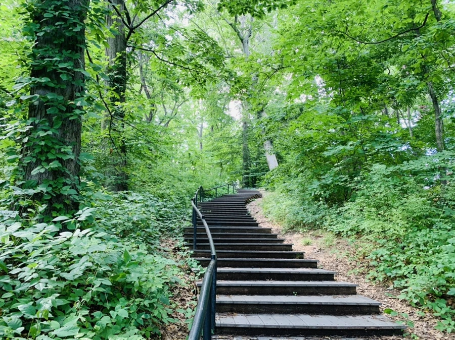 IMG_7642.jpg?type=w966