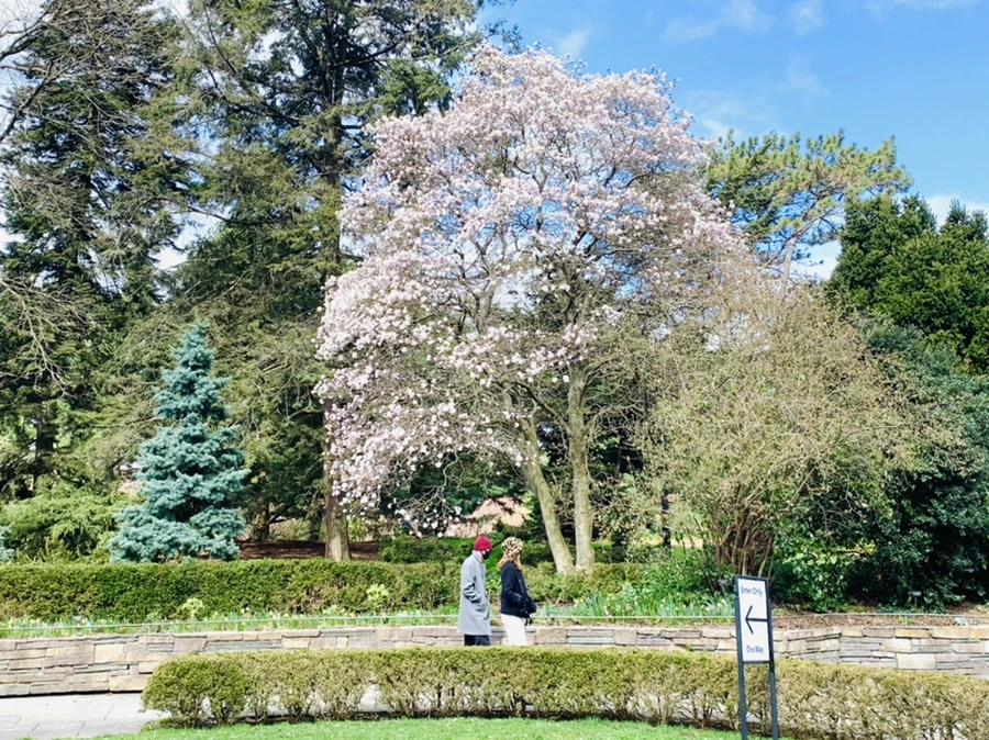 IMG_6463.jpg?type=w966