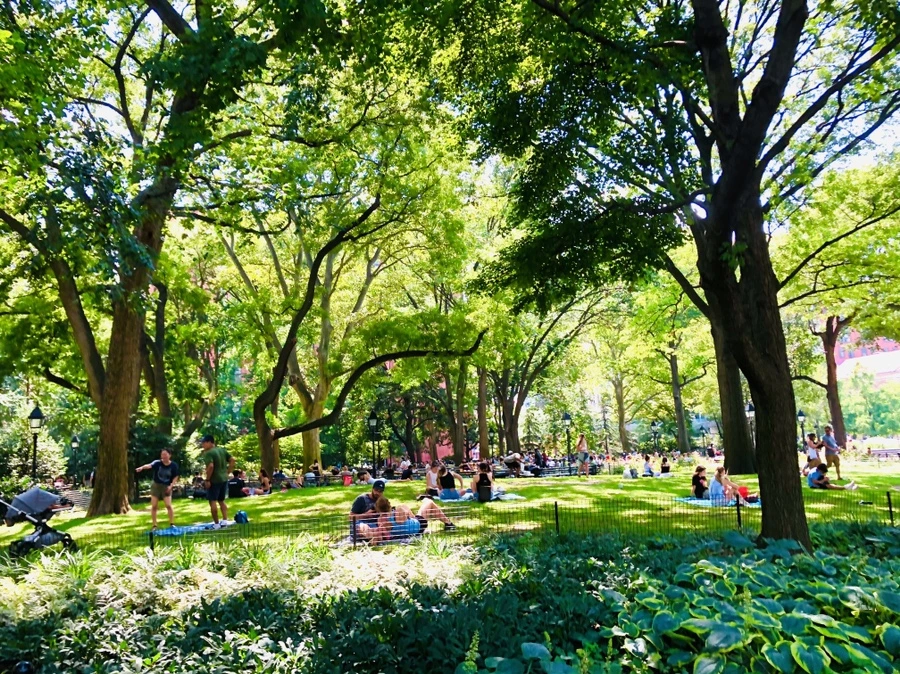 IMG_6357.jpg?type=w966