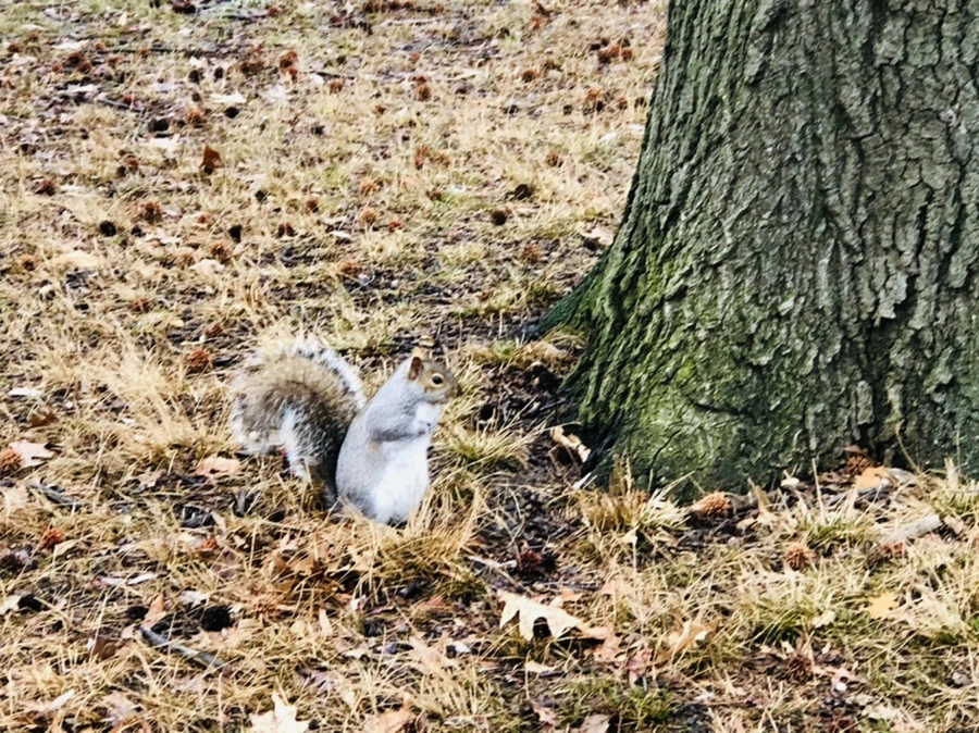 IMG_9544.jpg?type=w966