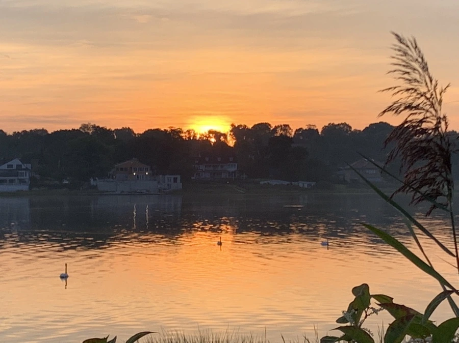 IMG_6827.jpg?type=w966