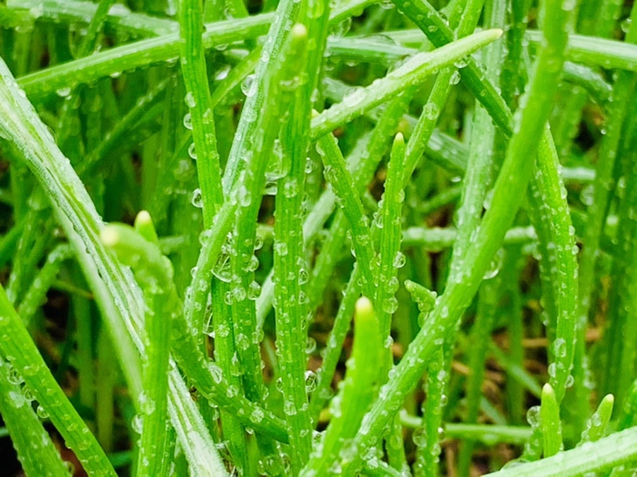 IMG_5040.jpg?type=w966