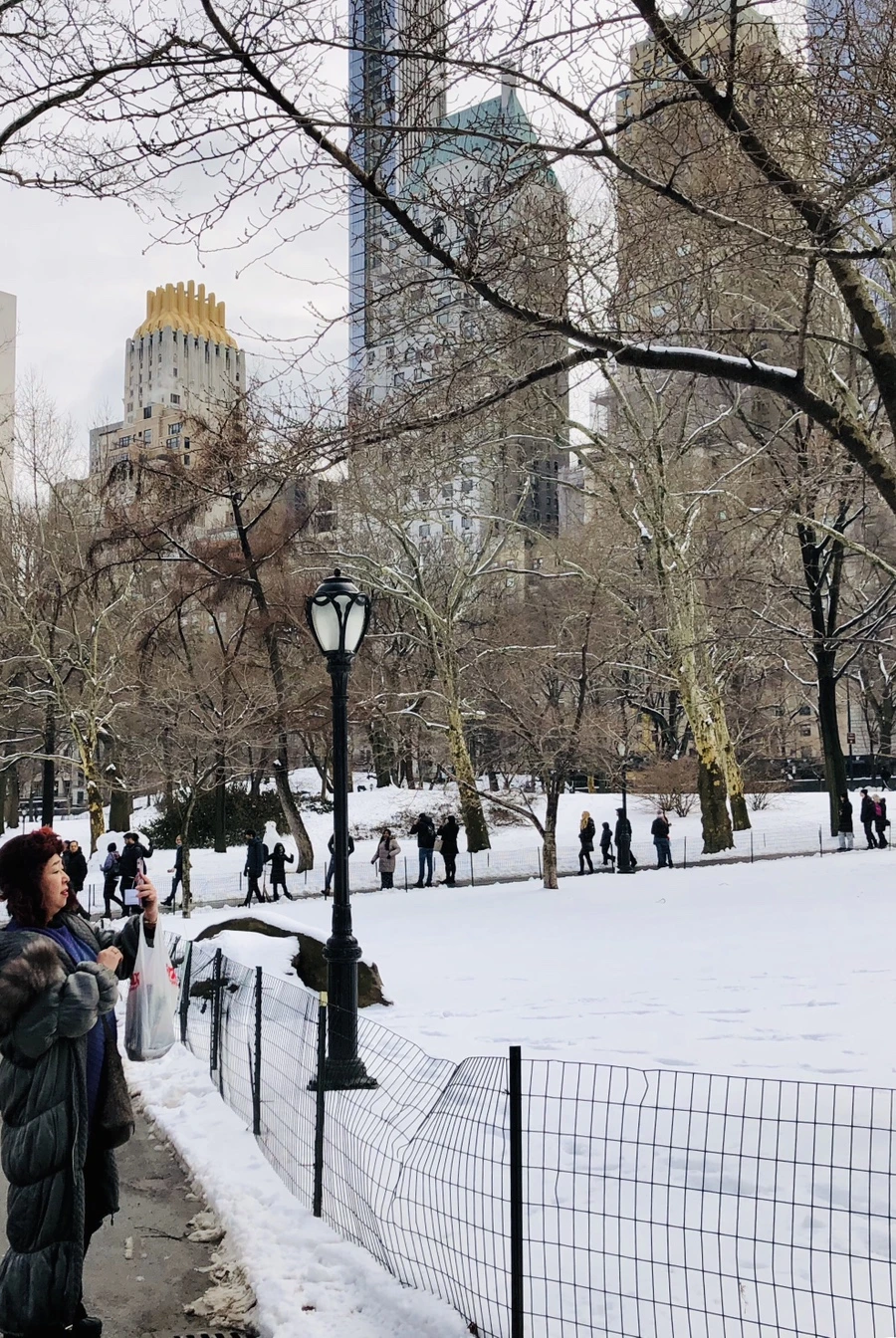 IMG_0388.jpg?type=w966