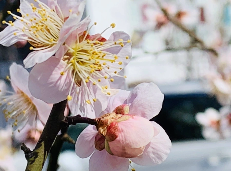 IMG_1007.jpg?type=w966