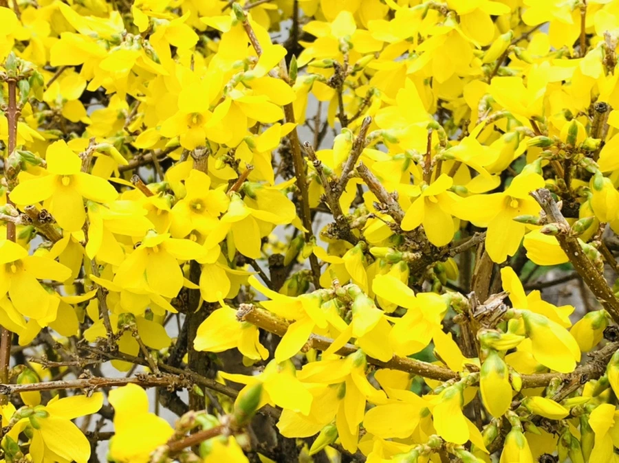 IMG_5999.jpg?type=w966