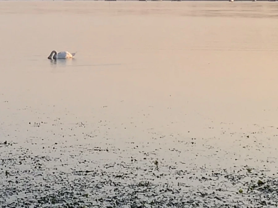 IMG_9627.jpg?type=w966