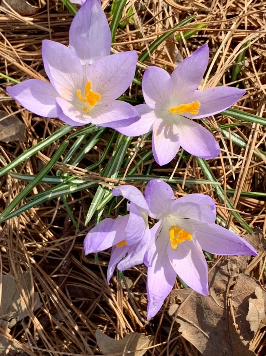 IMG_0169.jpg?type=w966