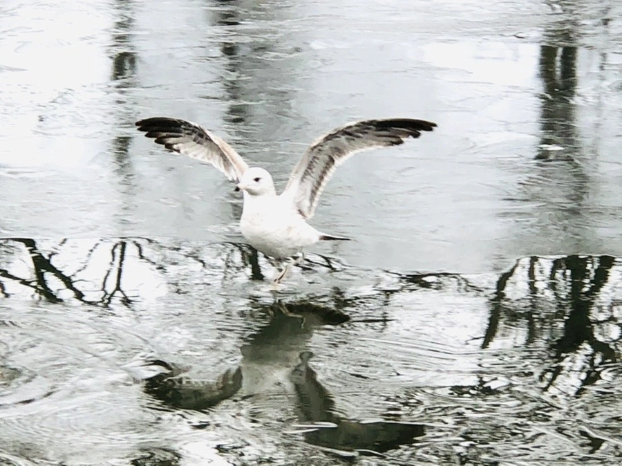 i_Nt6KYY6XEU2z9WYobPwlraUI0