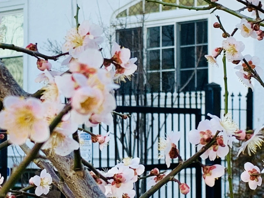 IMG_0861.jpg?type=w966