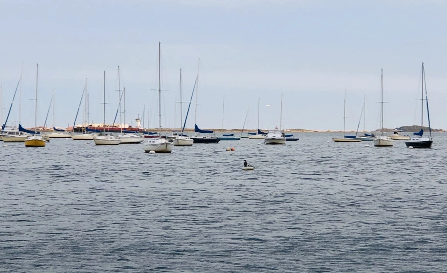 IMG_0651.jpg?type=w966