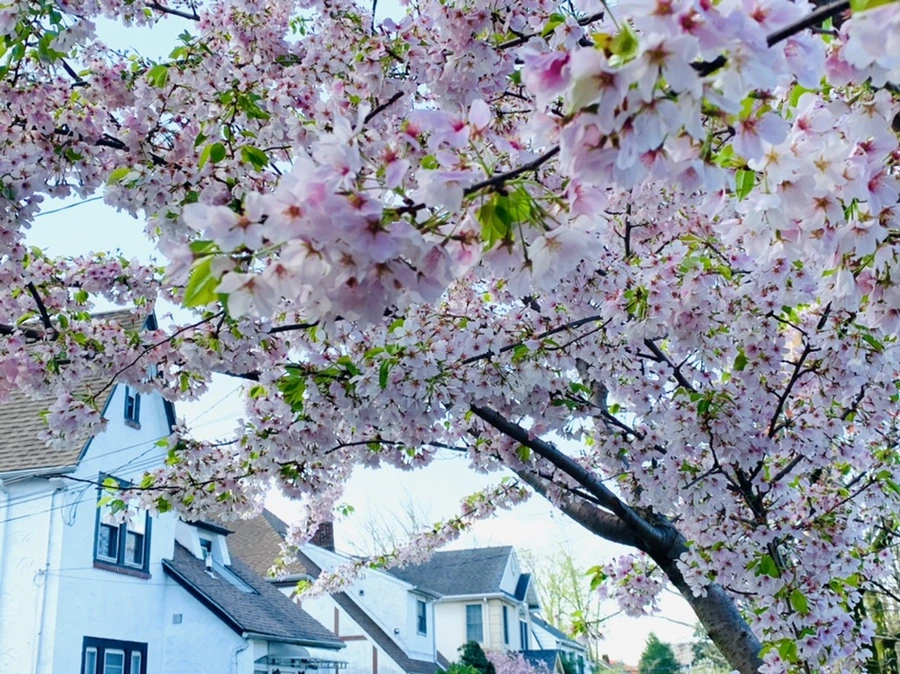 IMG_2657.jpg?type=w966