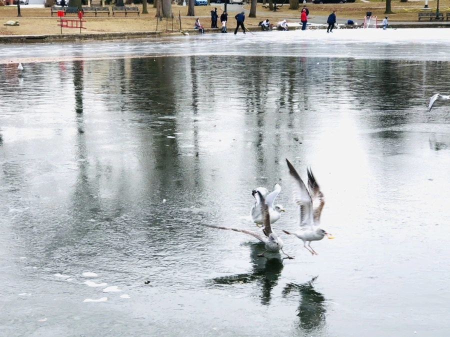 IMG_8762.jpg?type=w966