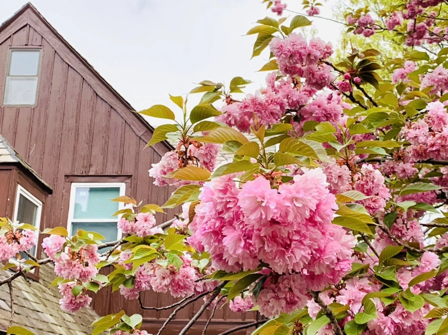 IMG_7159.jpg?type=w966