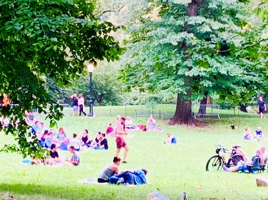 IMG_5540.jpg?type=w966