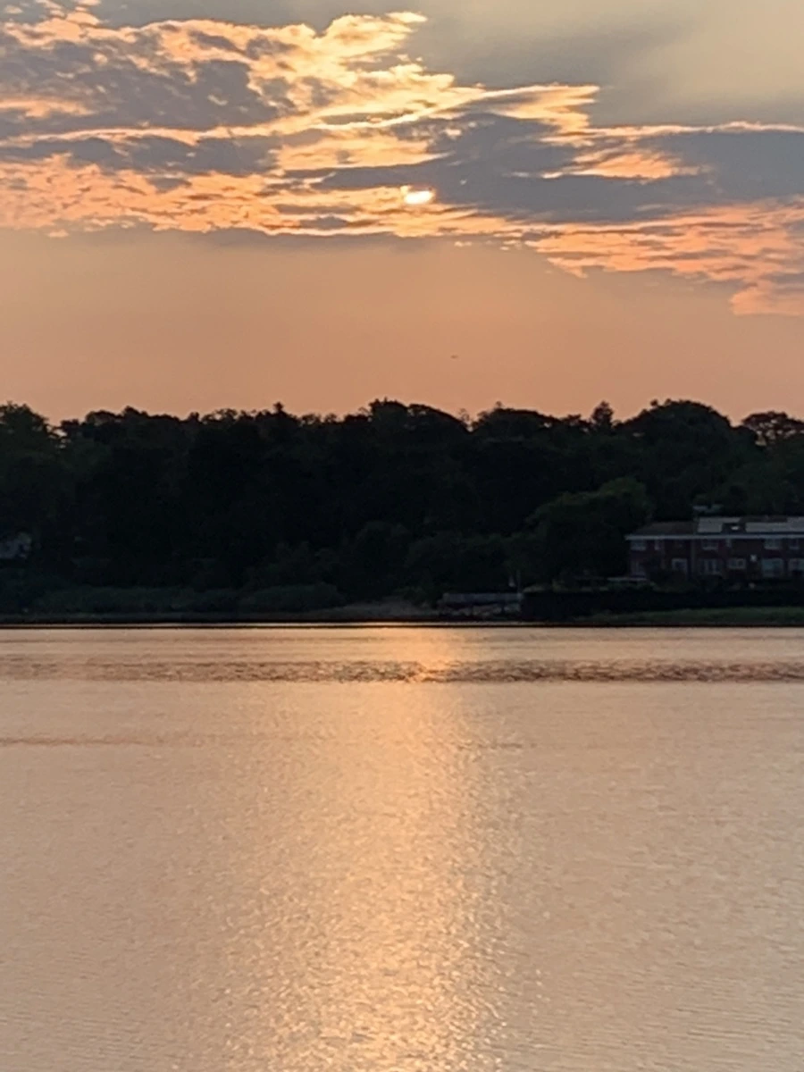 IMG_4751.jpg?type=w966