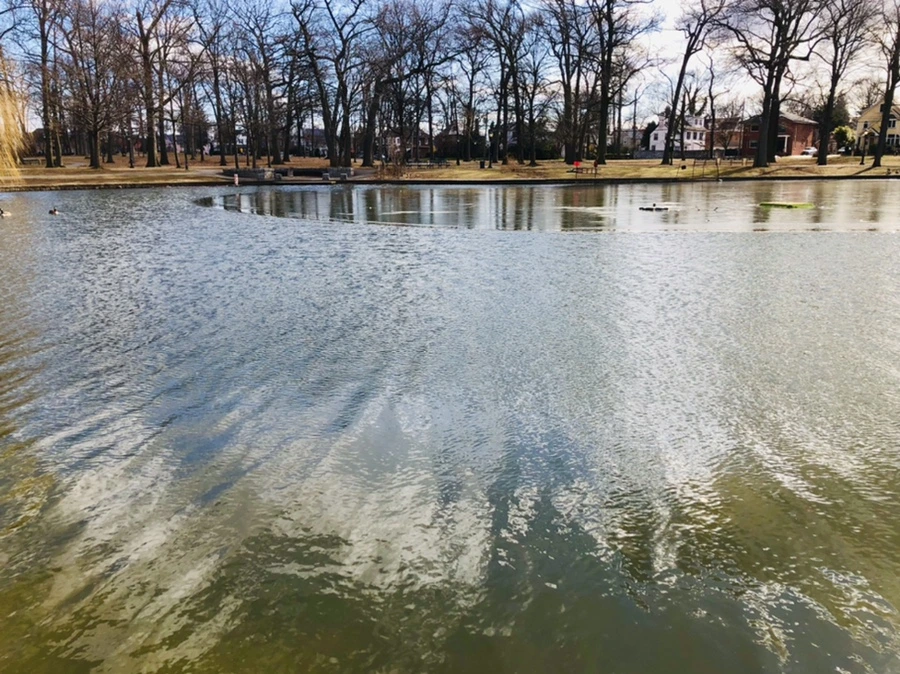 IMG_5242.jpg?type=w966