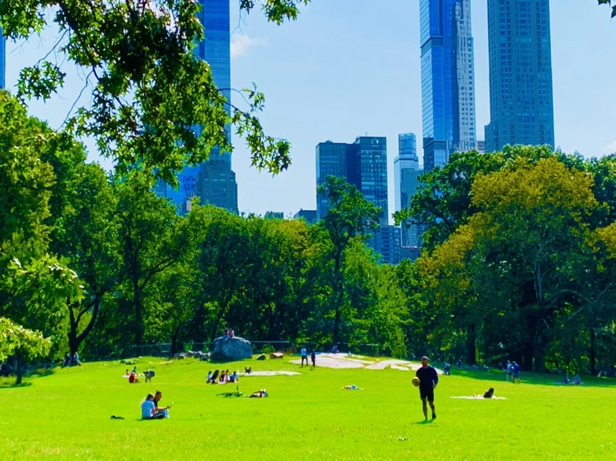 IMG_9669.jpg?type=w966