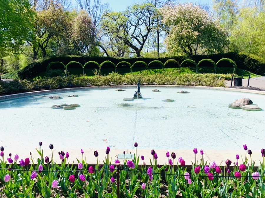 IMG_4616.jpg?type=w966