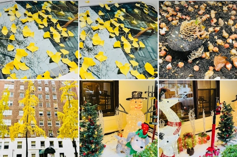 IMG_6483.jpg?type=w966