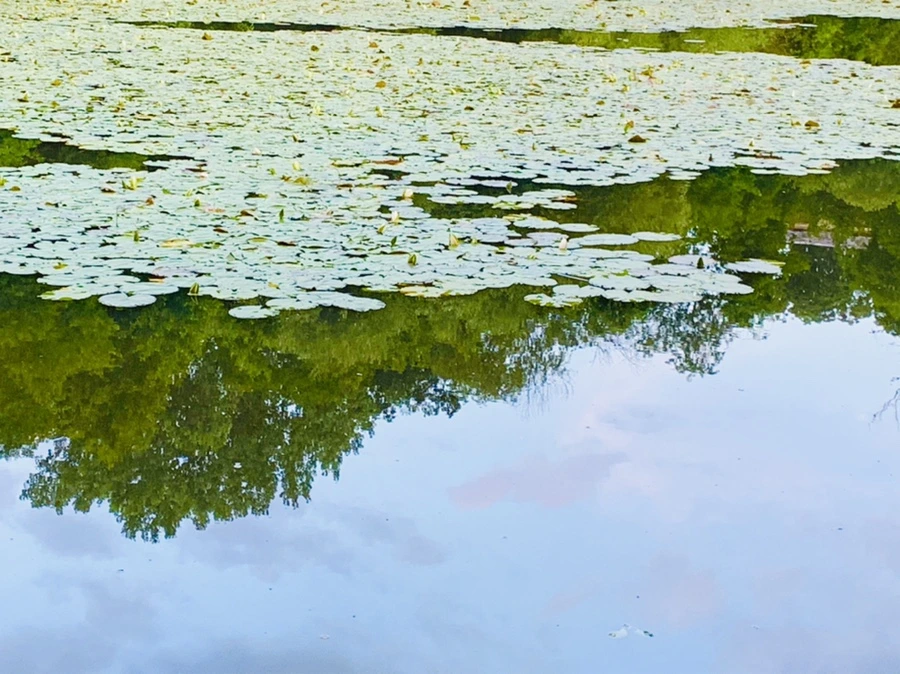 IMG_2996.jpg?type=w966