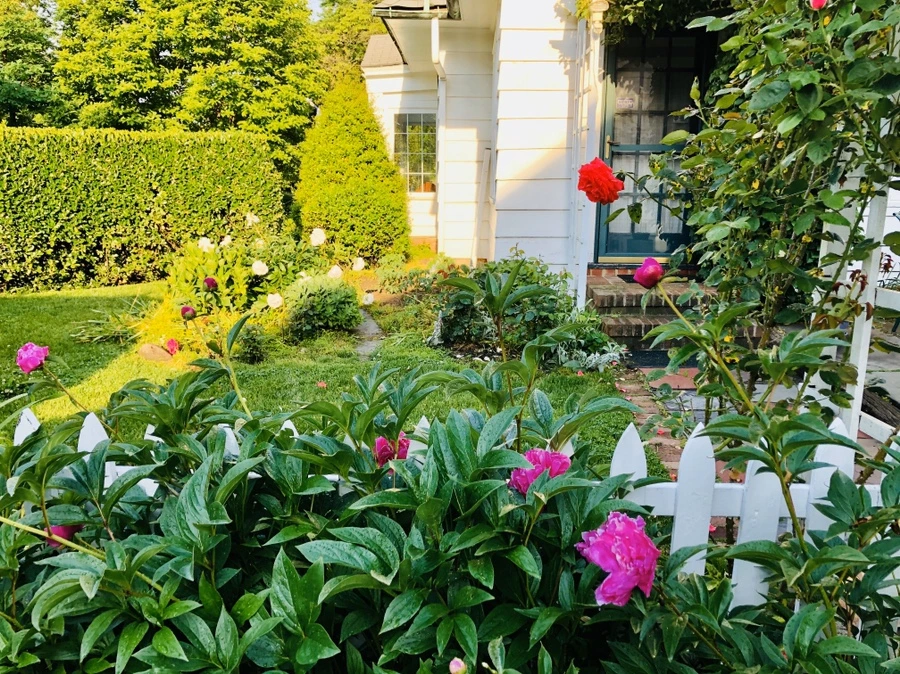 IMG_7996.jpg?type=w966