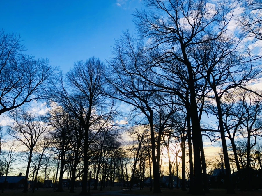 IMG_4910.jpg?type=w966