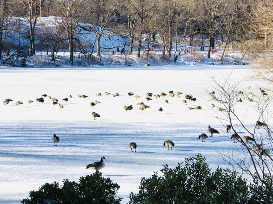 IMG_9791.jpg?type=w966