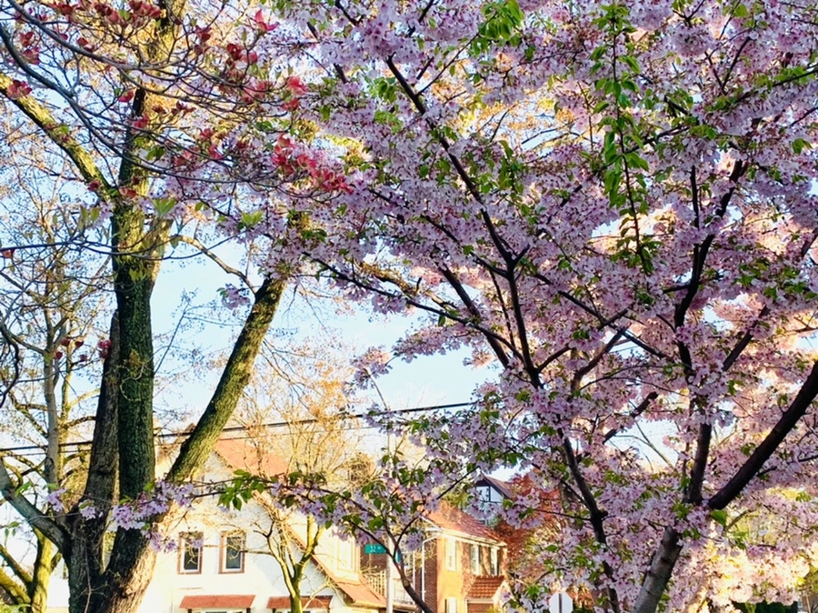 IMG_2472.jpg?type=w966