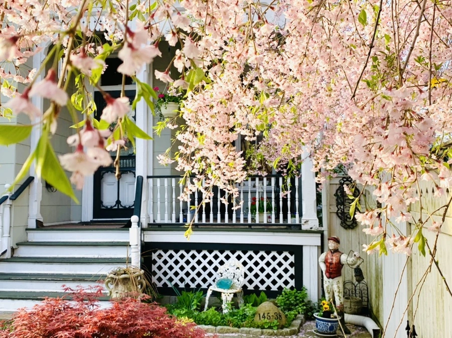 IMG_3751.jpg?type=w966