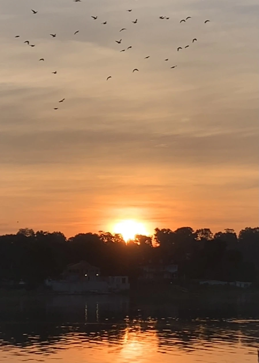 IMG_6837.jpg?type=w966