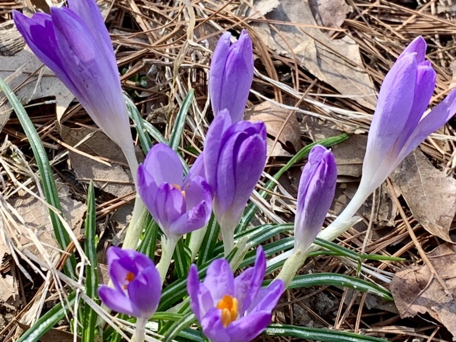 IMG_0103.jpg?type=w966