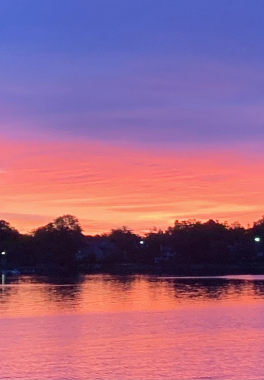 IMG_5800.jpg?type=w966