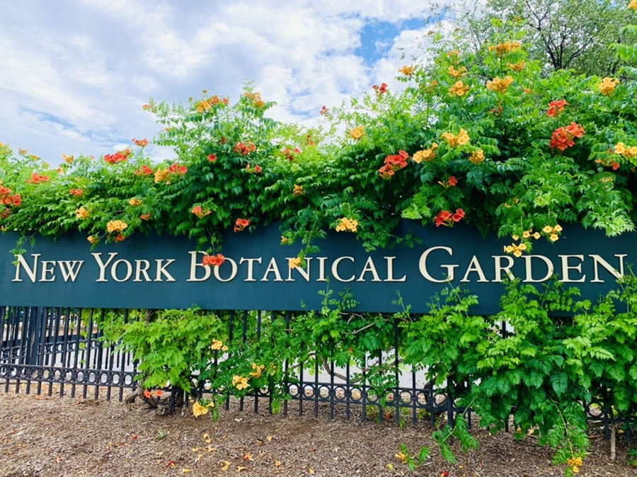 IMG_9152.jpg?type=w966