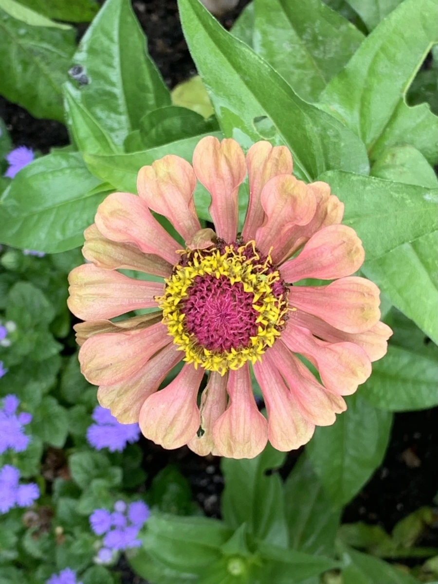 IMG_9554.jpg?type=w966