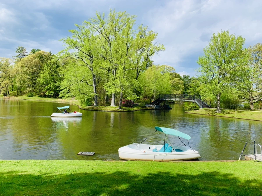 IMG_2488.jpg?type=w966