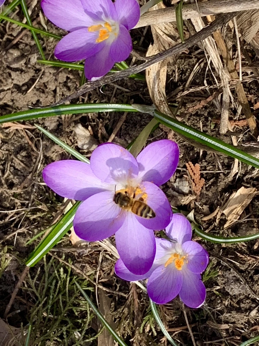 IMG_0272.jpg?type=w966