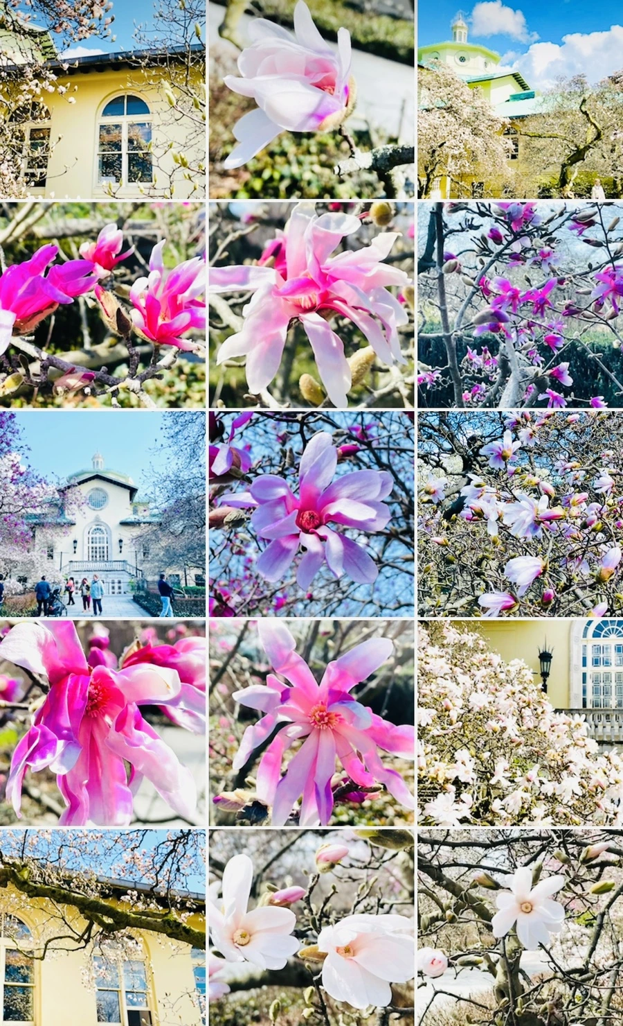 IMG_7303.jpg?type=w966