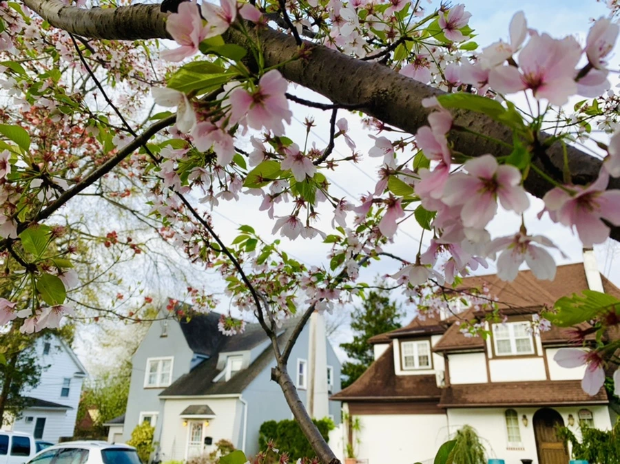 IMG_2783.jpg?type=w966