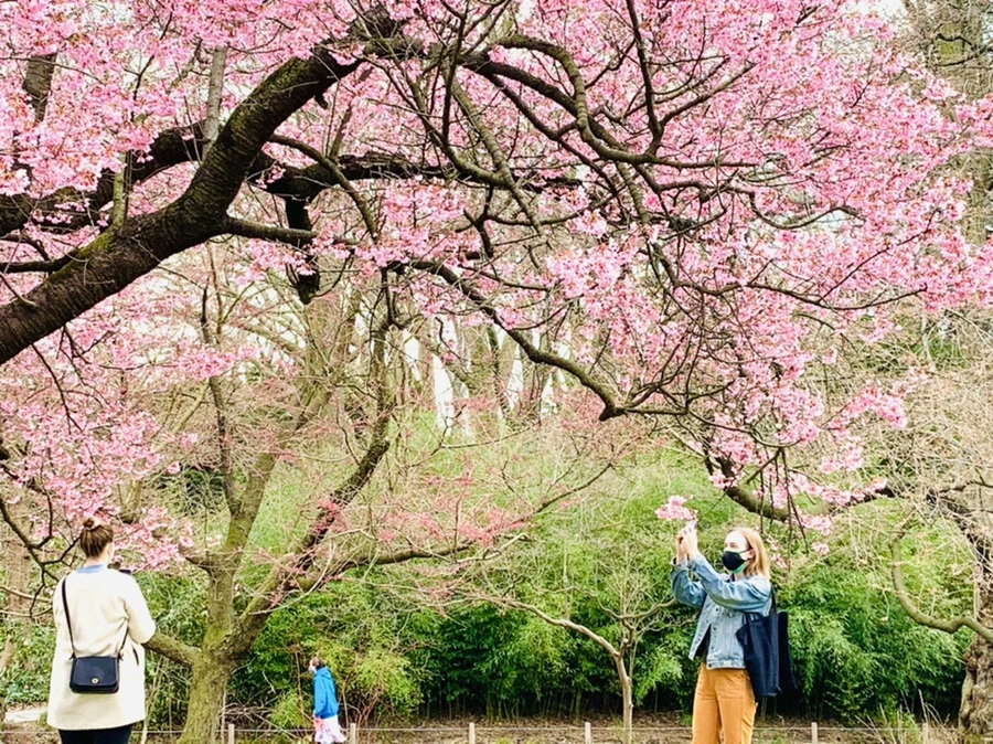 IMG_7049.jpg?type=w966