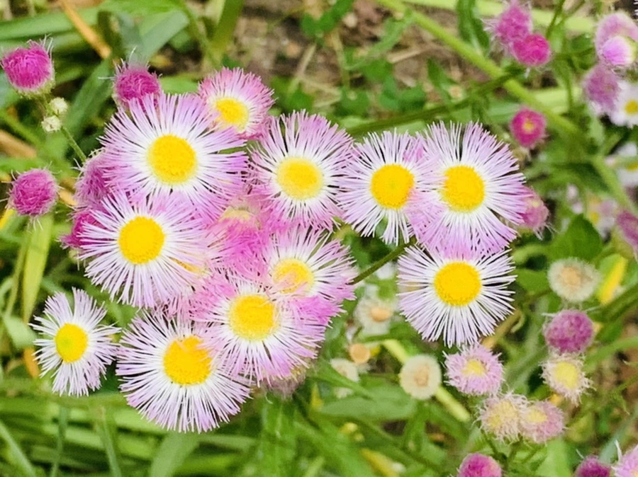 IMG_5044.jpg?type=w966