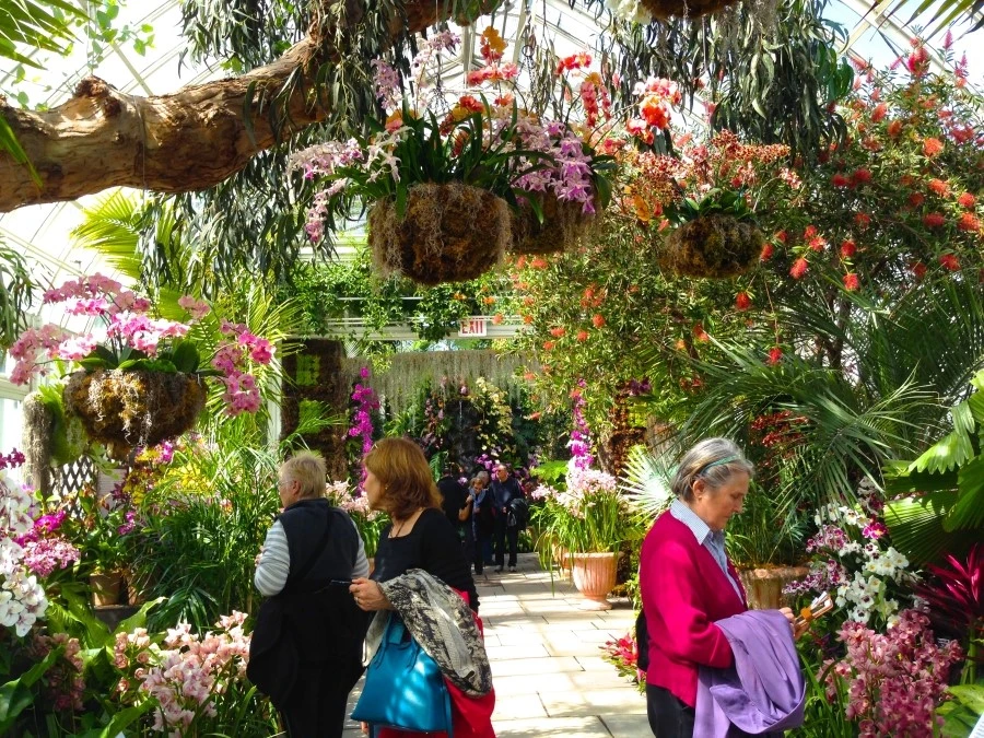 IMG_3844.JPG?type=w1