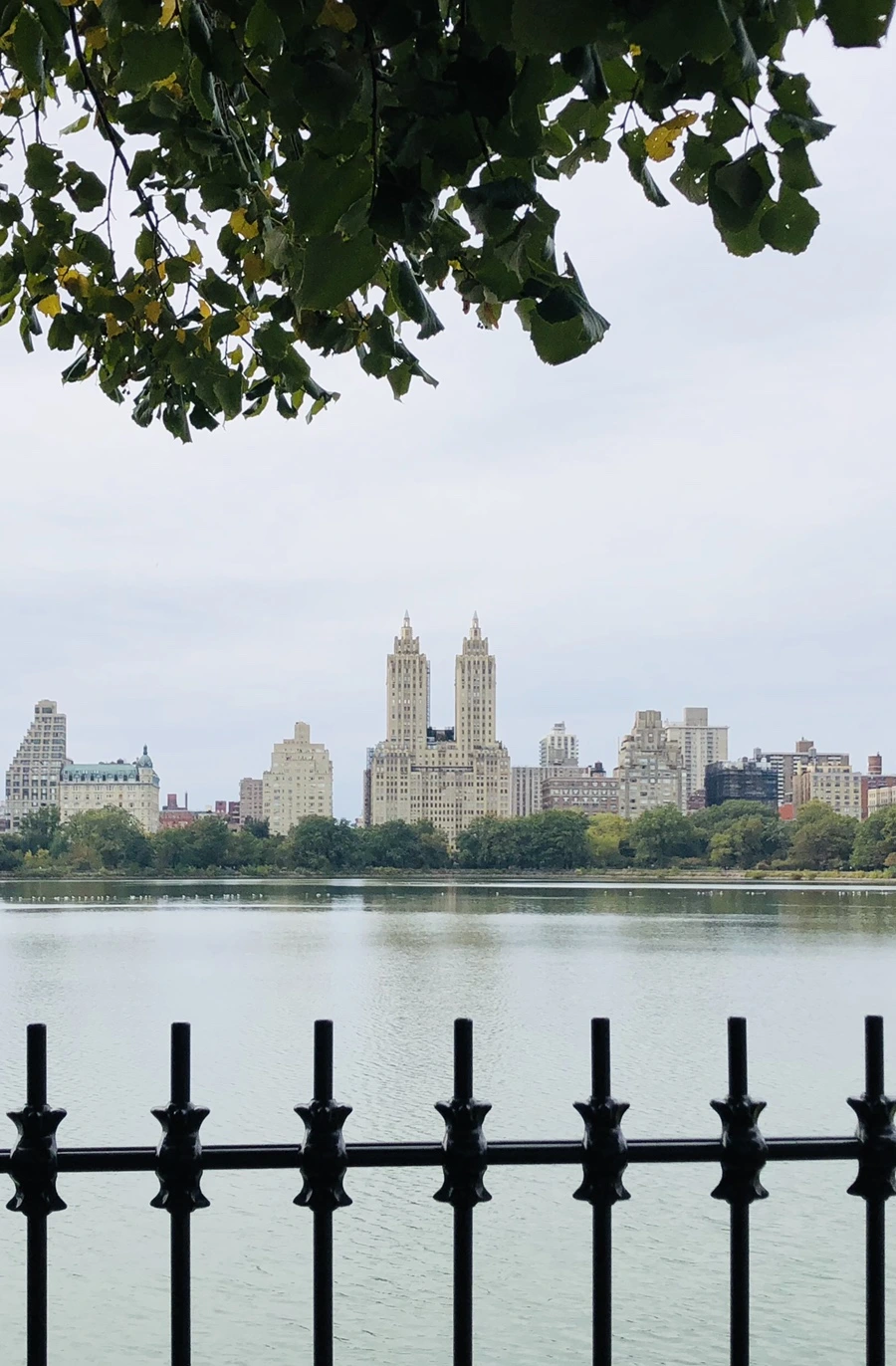 IMG_1796.jpg?type=w966