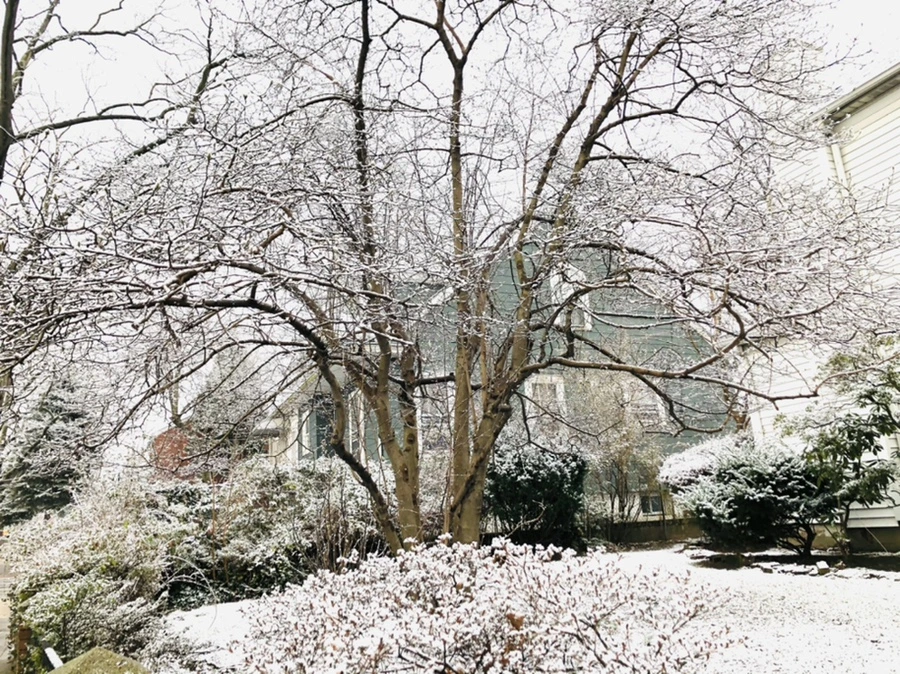 IMG_4460.jpg?type=w966