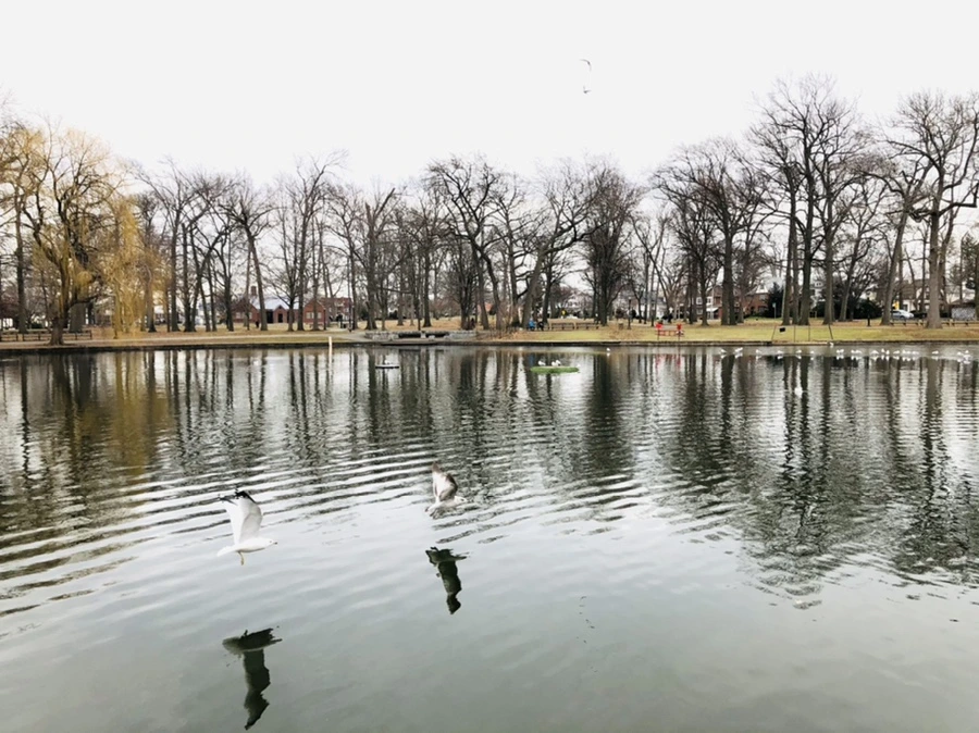 IMG_1007.jpg?type=w966