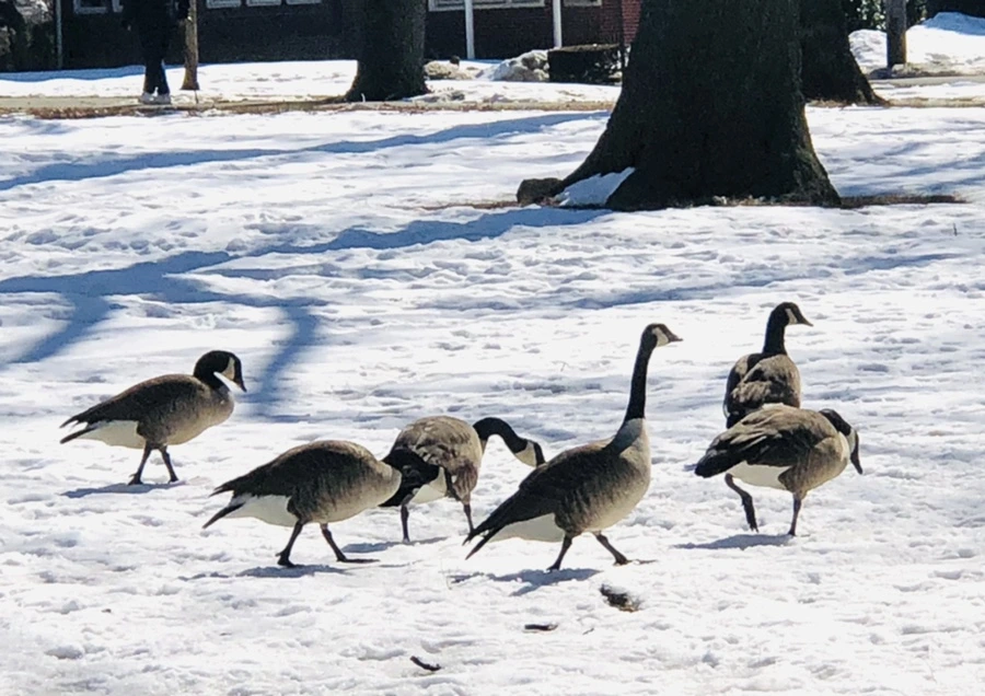 IMG_4522.jpg?type=w966