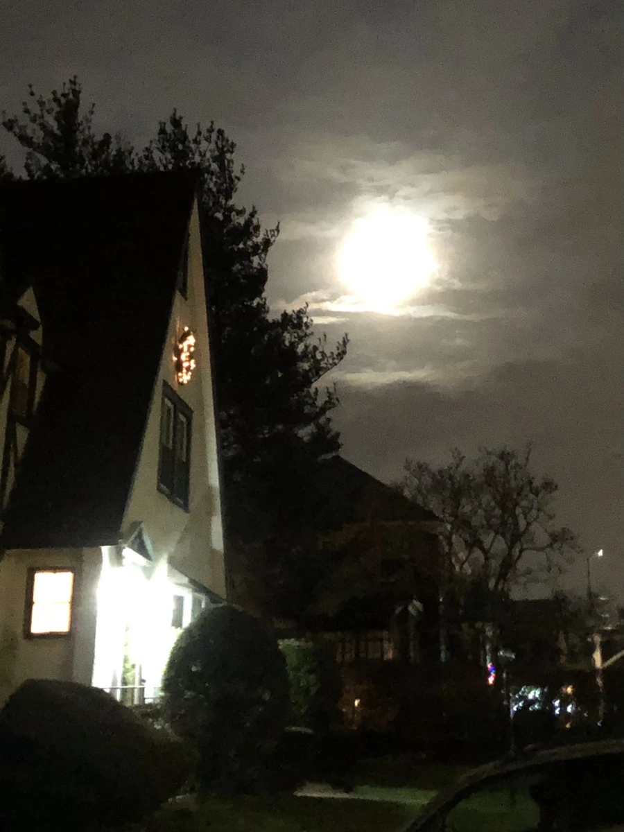 IMG_8572.jpg?type=w966