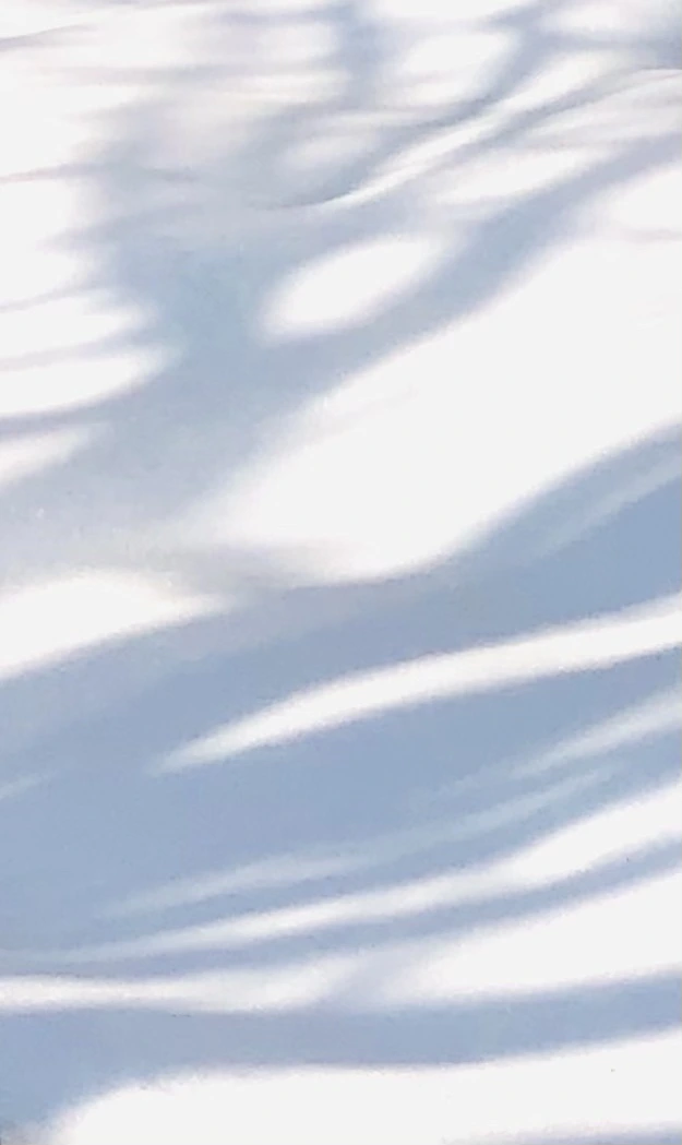 IMG_7758.jpg?type=w966