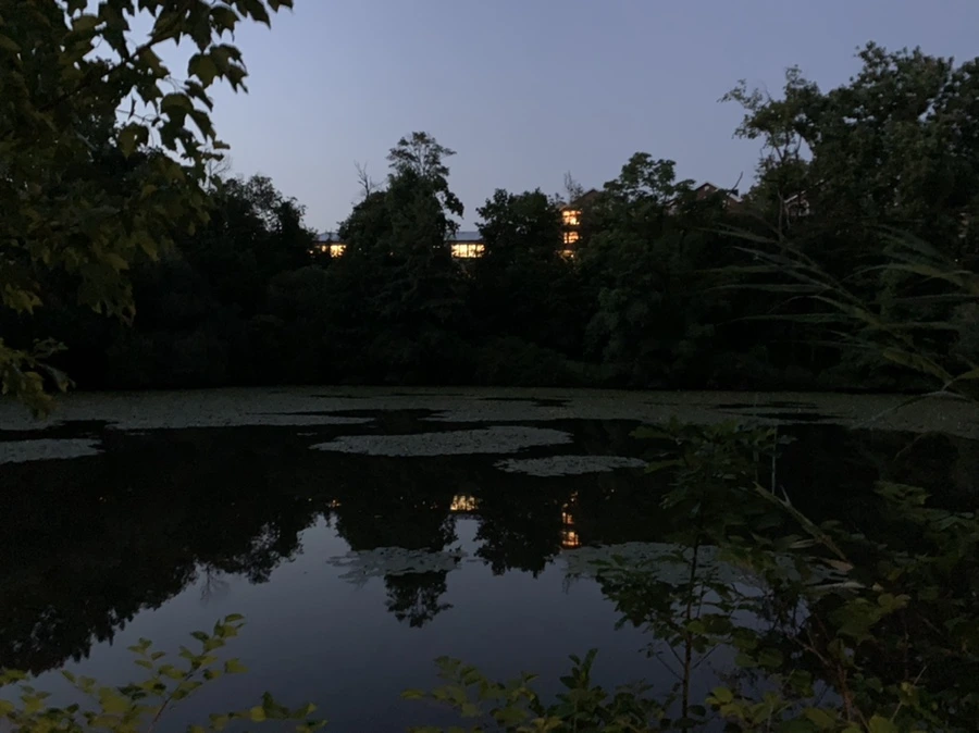 IMG_5300.jpg?type=w966