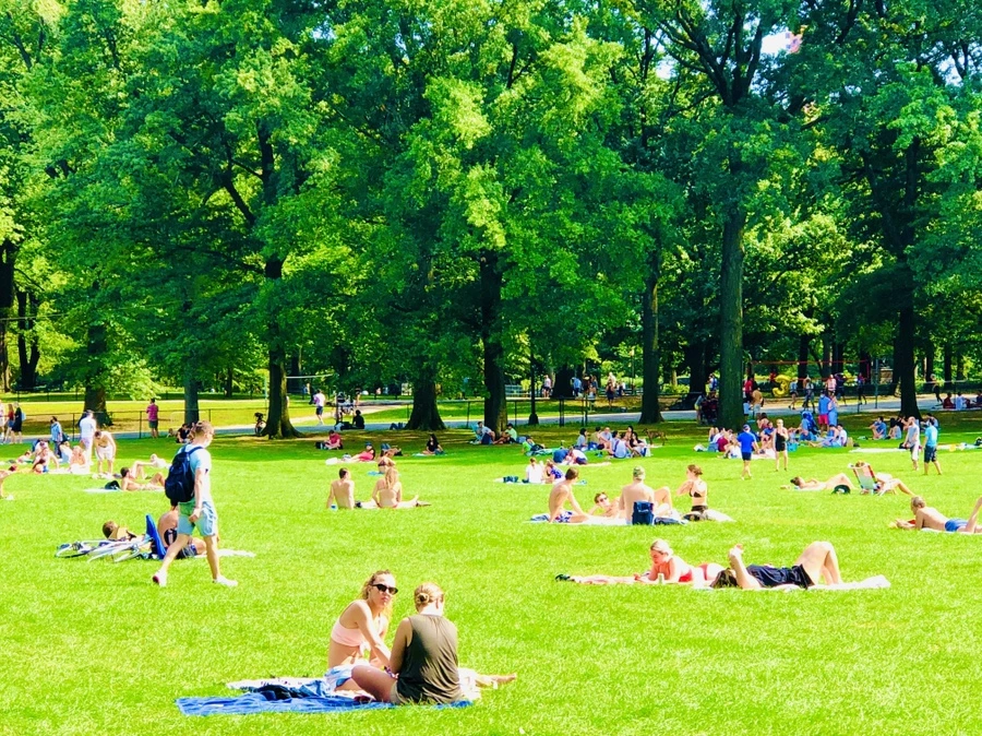 IMG_9511.jpg?type=w966